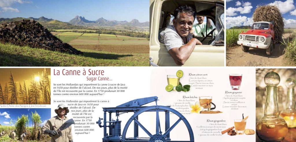 Escapade à l’île Maurice (Austral Éditions) : page intérieure 1