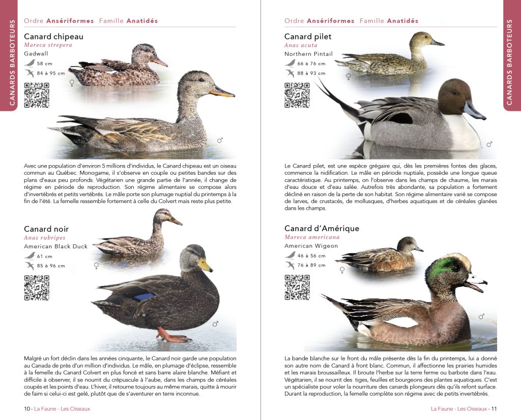 Faune & Flore du Québec (Austral Éditions) : page intérieure 1