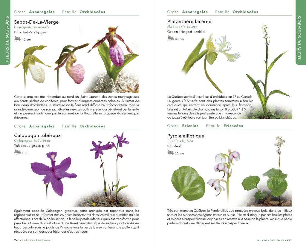 Faune & Flore du Québec (Austral Éditions) : page intérieure 3