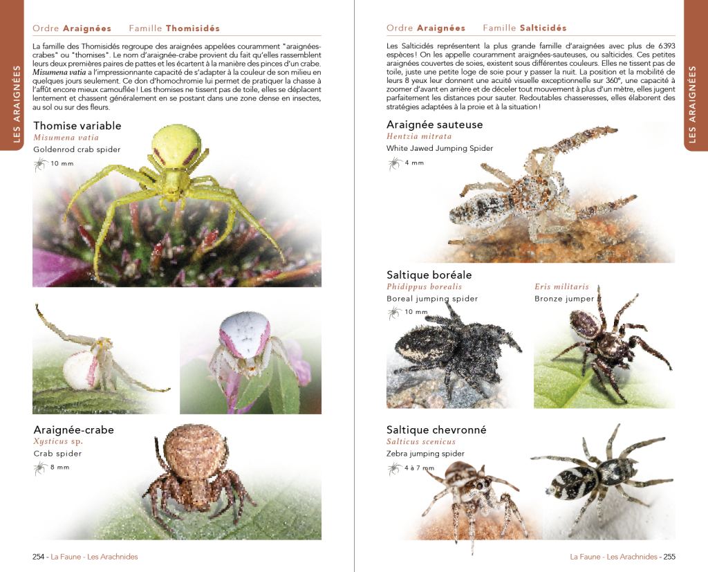Faune & Flore du Québec (Austral Éditions) : page intérieure 4
