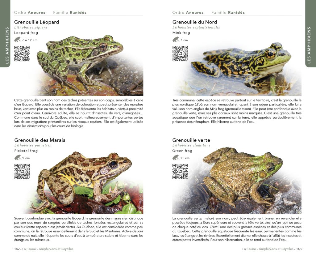 Faune & Flore du Québec (Austral Éditions) : page intérieure 6