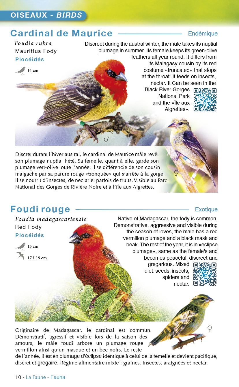 Île Maurice, Faune & Flore (Austral Éditions) : page intérieure 1