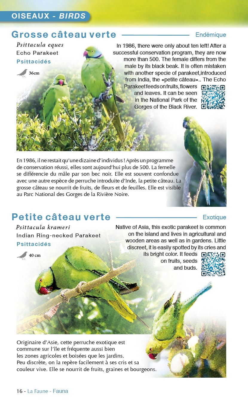 Île Maurice, Faune & Flore (Austral Éditions) : page intérieure 2