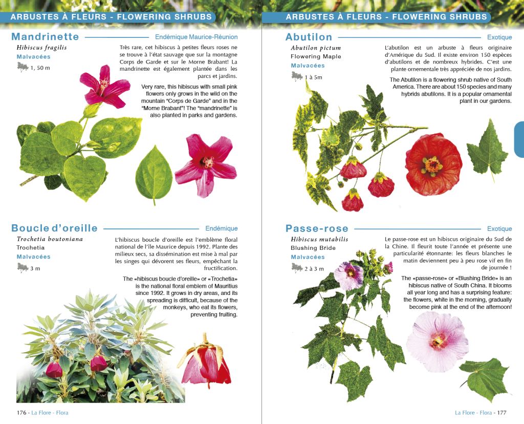 Île Maurice, Faune & Flore (Austral Éditions) : page intérieure 4