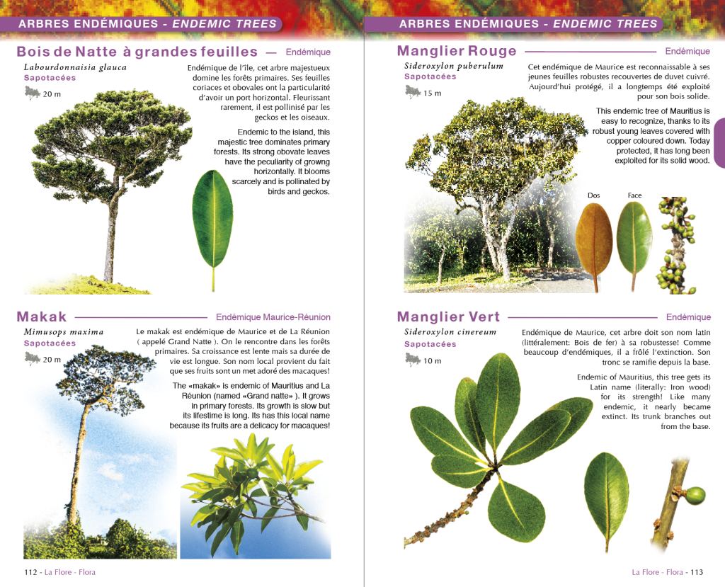 Île Maurice, Faune & Flore (Austral Éditions) : page intérieure 5