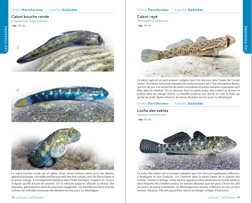 La Réunion, Faune & Flore Eau Douce (Austral Éditions) : page intérieure 1