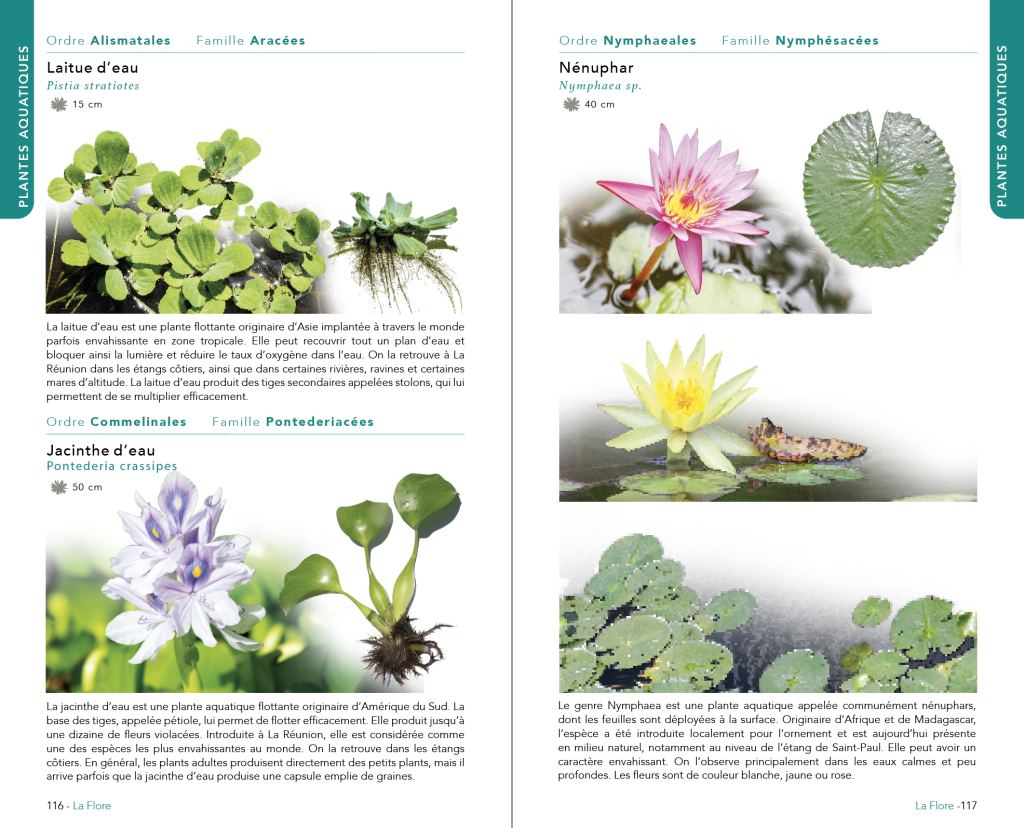 La Réunion, Faune & Flore Eau Douce (Austral Éditions) : page intérieure 3