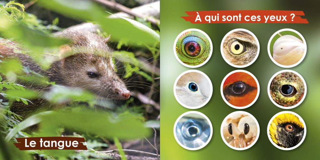 Zanimos Zanimés de La Réunion (Austral Éditions) : page intérieure 1